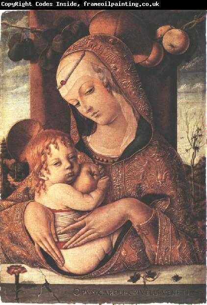 CRIVELLI, Carlo Virgin and Child dfg